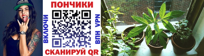 Купить наркотик аптеки Новоаннинский Бошки Шишки  МЕФ  Гашиш 