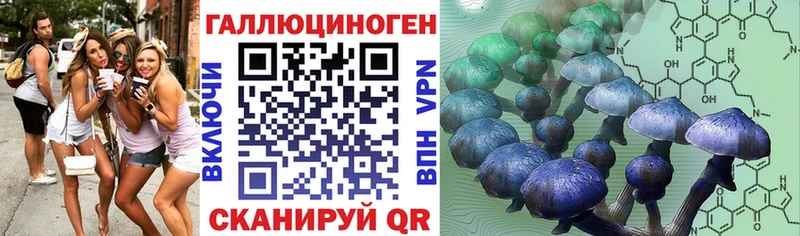 Псилоцибиновые грибы прущие грибы  Новоаннинский 